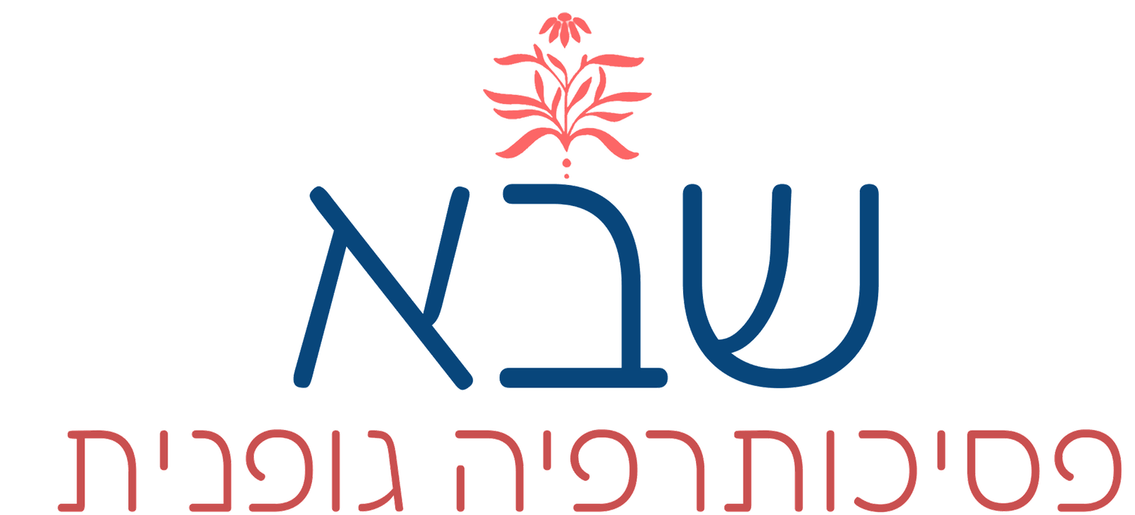 שבא בלק